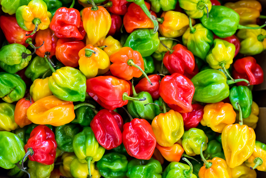 pepper-varieites