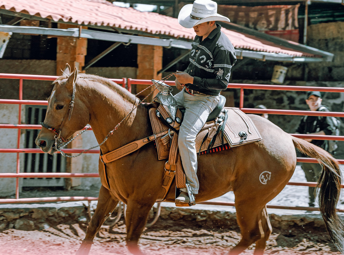 cowboy-working-horse