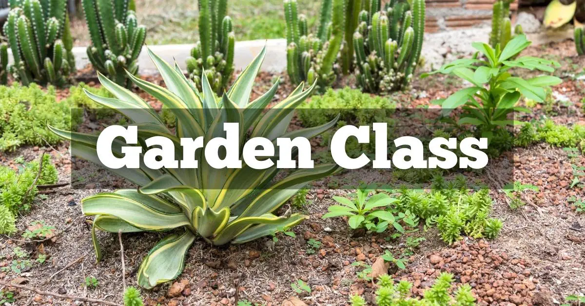 garden class lAy1OJ.tmp 24QGSv.tmp