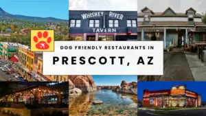 Dog Friendly Restaurants in Prescott Az With Outdoor Seating